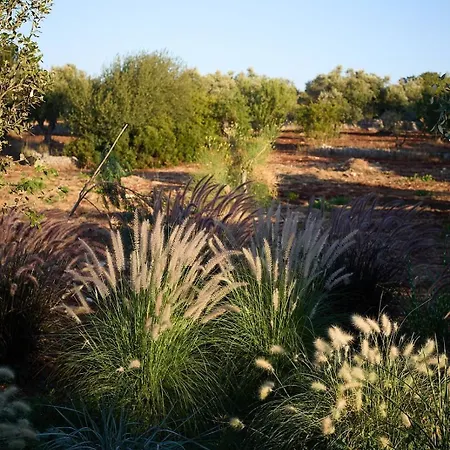 Holiday home Trullo Sessana With Large Pool And Gorgeous Al Fresco Dining Areas *