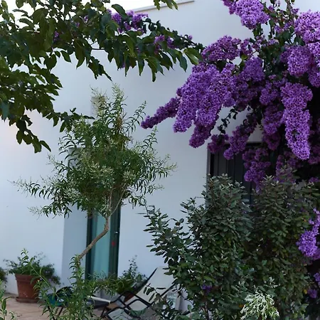 Trullo Sessana With Large Pool And Gorgeous Al Fresco Dining Areas Holiday home *