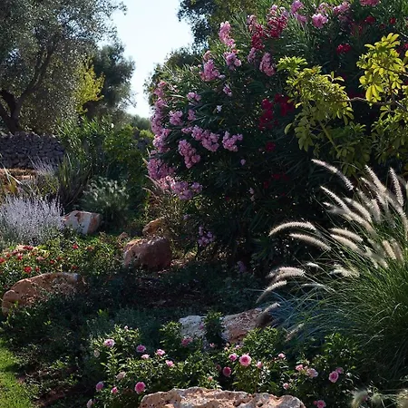 Trullo Sessana With Large Pool And Gorgeous Al Fresco Dining Areas Ceglie Messapica